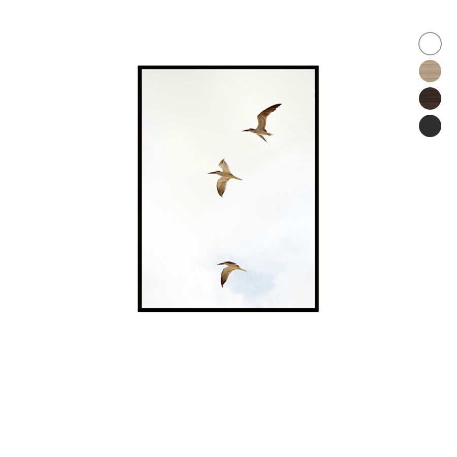 Quadro Decorativo Fotografia Gaivotas na Praia 50 x 70