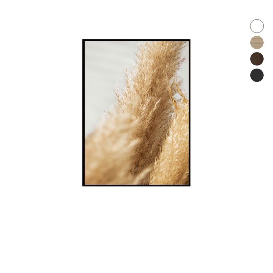 Quadro Decorativo Fotografia Boho Capim Pampas  40 x 50