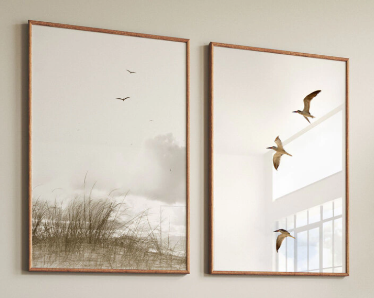 Conjunto 2 Quadros Gaivotas à Beira-Mar Sala 50 x 70